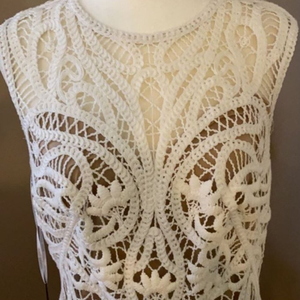 Tadashi Shoji NWT Illusion Crochet Lined Dress - Picture 12 of 16